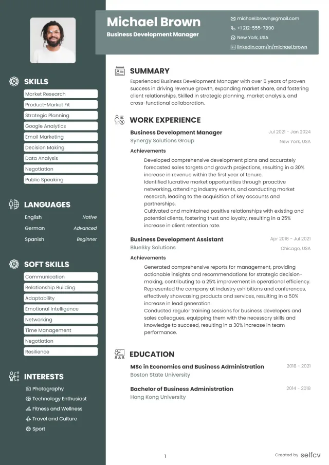 Professional resume example preview