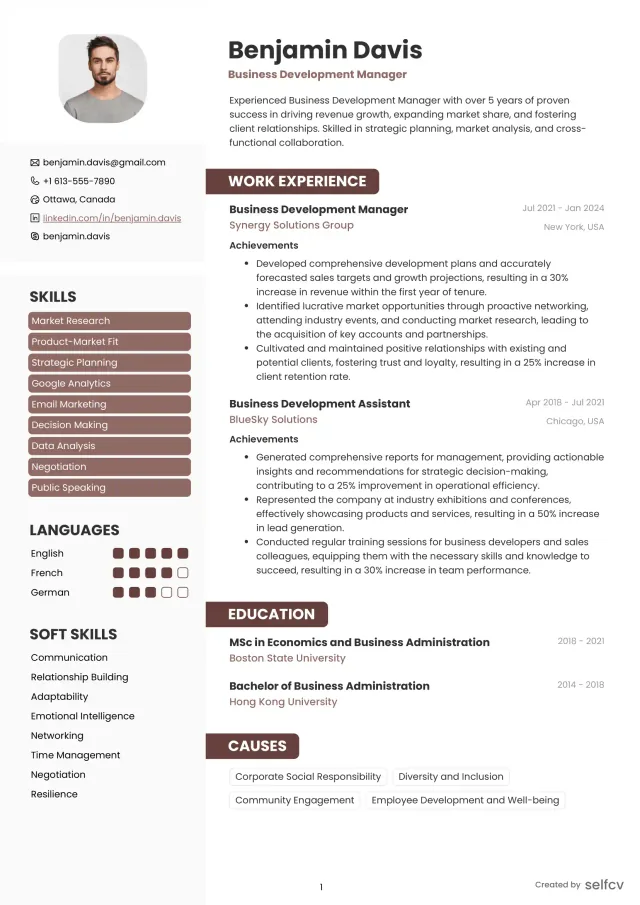 Professional resume example preview
