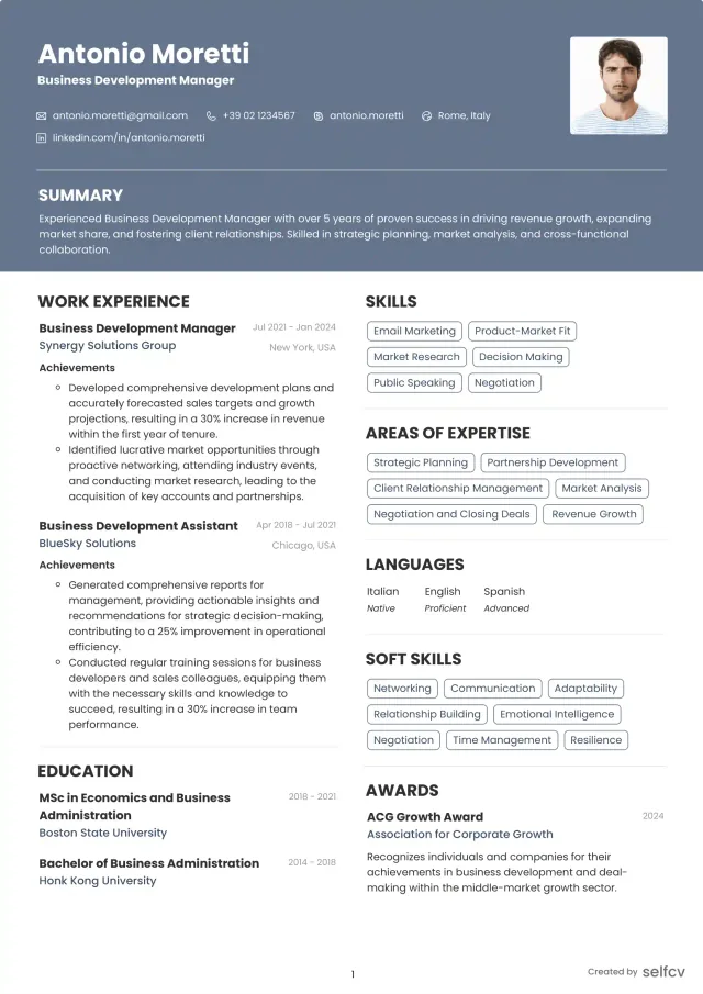 Professional resume example preview