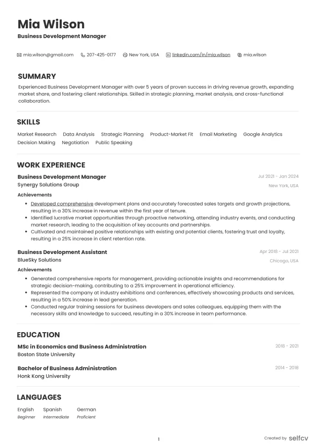 Professional resume example preview